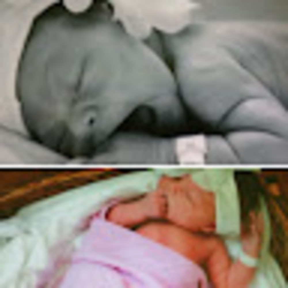 Meet your Posher, Lacey